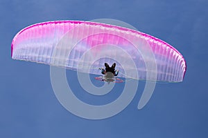 Man in powered parasail directly overhead