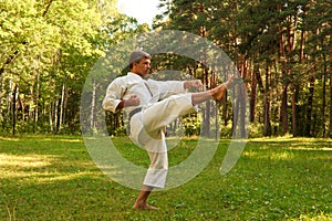 The man practicing karate in the park