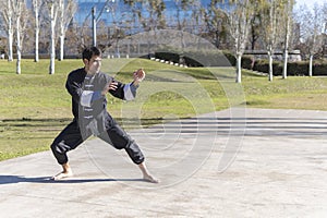 Man practicing Kung Fu in the park