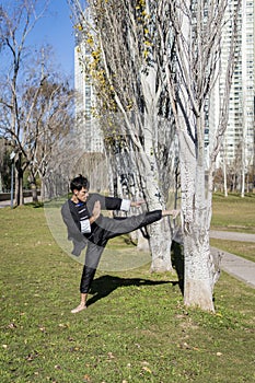 Man practicing Kung Fu in the park