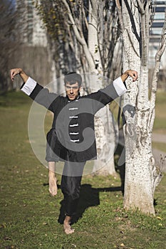 Man practicing Kung Fu in the park