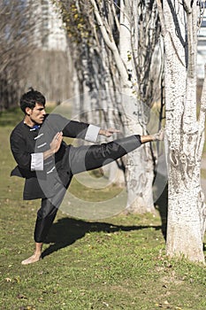 Man practicing Kung Fu in the park