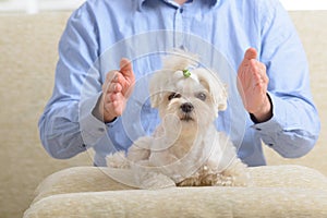 Man practicing reiki therapy