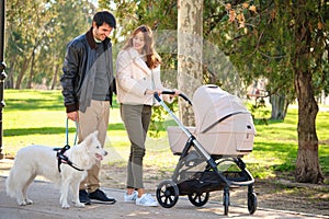 Man and pregnant woman walking with their dog and baby stroller in a park.