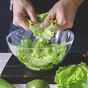 Man is preparing green salad of romaine lettuce. Healthy food concept