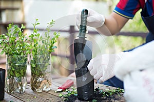 Man preparing soil for planting, Close-up