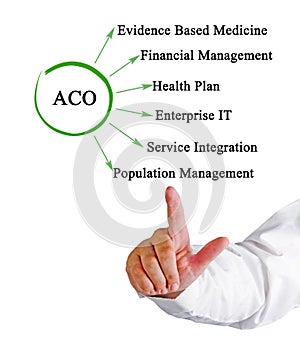 presenting Accountable Care Organizations photo