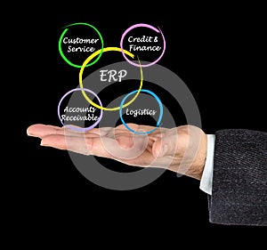 Components of ERP photo