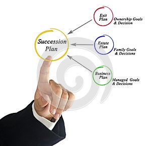 Components of Succession plan