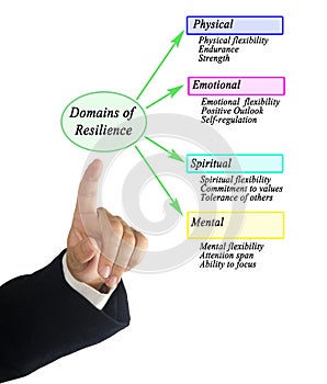 Presenting Domains of Resilience photo