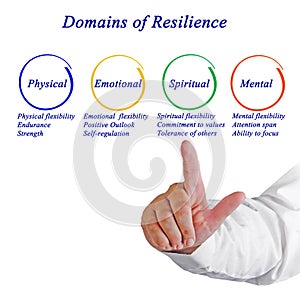 Domains of Resilience photo