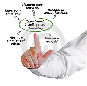 Emotional Intelligence Domains