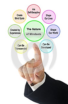 Presenting Nature of Mindsets