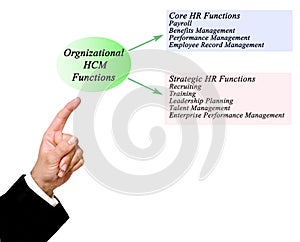 Organizational HCM Functions