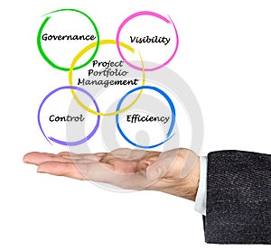 Project Portfolio Management