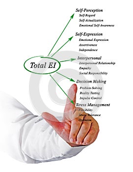 Total emotional intelligence