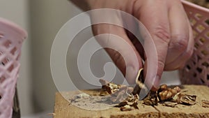 A man pricks walnuts with a hammer. On a wooden block. Chopped nuts tosses them into the basket. Close-up shot
