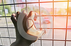 Man in prison hand holding a steel cage prison bars. criminal criminal is locked in prison