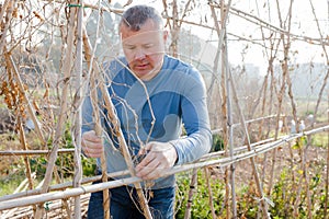 Man professional horticulturist working with wooden girders