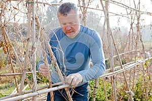 Man professional horticulturist working with wooden girders