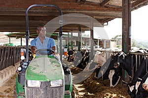 Man proffesional farmer is sitting in the car near cows at the cow farm