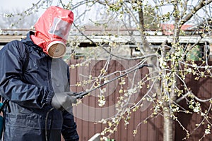 man in protective clothing in the backyard using hand sprayer with pesticides.