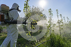 Man in Protective Equipment Spraying Fruit Orchard With Backpack Atomizer Sprayer