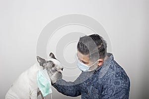 Man in protective surgical mask and latex gloves stroking his pet. French bulldog dog