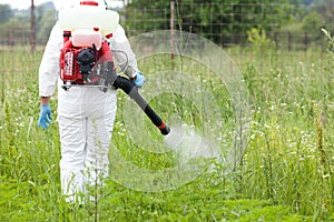 Man in protective workwear spraying herbicide on ragweed. Weed control.