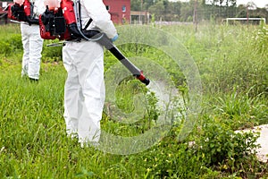 Man in protective workwear spraying herbicide on ragweed  in an urban area. Weed control. photo