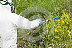 Man in protective workwear spraying herbicide on ragweed. Weed control. photo