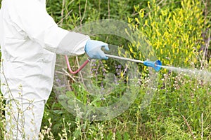 Man in protective workwear spraying herbicide on ragweed. Weed control.