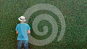 Man worker cutting trees in garden.