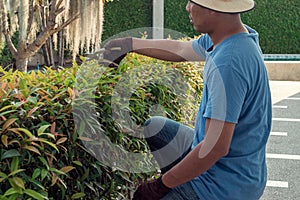 Man worker cutting trees in garden.