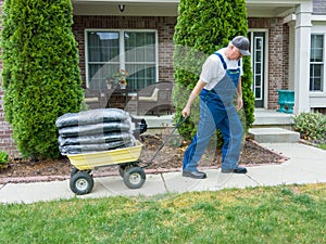 Man pulling a heavy wheelbarrow loaded with mulch photo