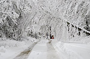 Hombre emprendedor soplador de nieve sobre el carreteras caído árboles en el invierno la nieve tormenta 