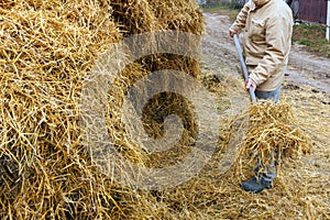 The man puts the hay on a haystack