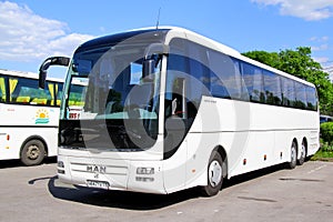 MAN R08 Lion's Top Coach