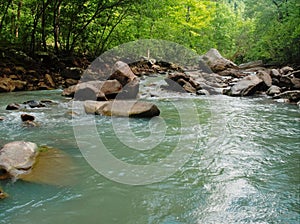 a man on a raft standing next to a stream in the woods