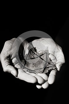 Man with a ragged Jewish badge in his hands