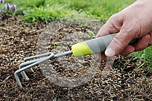 Man rakes the seeds of grass in fresh soil