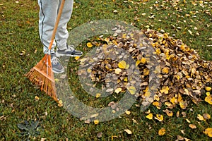 A man raking autumn leaves with a rake in the garden.