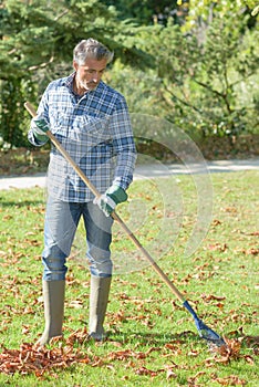 man raking leaves
