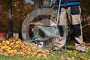 Man raking the leaves