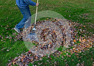 Man raking leaves on lawn