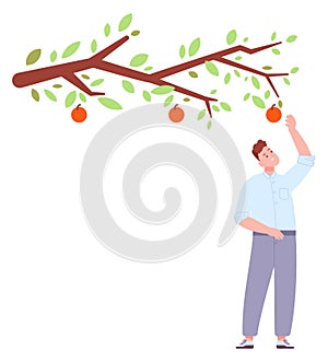Man reaching for red apple growing on tree. Fruit garden