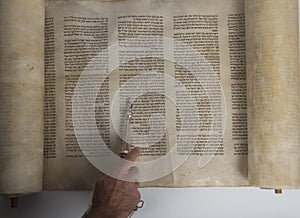 Man reading from an ancient torah scroll