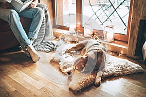Man reading book on the cozy couch near slipping his beagle dog on sheepskin in cozy home atmosphere. Peaceful moments of cozy