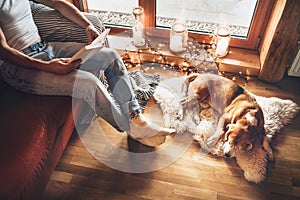 Man reading book on the cozy couch near slipping his beagle dog on sheepskin in cozy home atmosphere. Peaceful moments of cozy