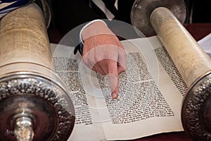 A man reading from a Torah scroll uses his finger as a guide through the Hebrew text